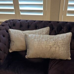 Silver Decorative Throw Pillows